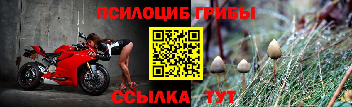Галлюциногенные грибы прущие грибы Тулун